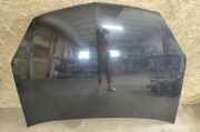 Motorhaube Opel Signum (Z-C/S)