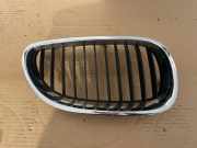 Gitter Grill vorne rechts BMW 5 Touring (E61) 525 i 7065702