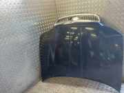 Motorhaube SKODA SUPERB I (3U4) 2.0 TDI R134A