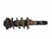 Stoßdämpfer vorne links AUDI TT Roadster (8J9) 2.5 RS quattro 8J0413031AD