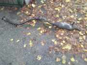 Auspuffanlage hinten Toyota Auris (E15)