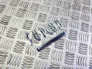 Emblem Skoda Superb I (3U)
