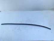 Dachleiste links VOLVO S80 I (TS, XY) 2.4 D5 8620350