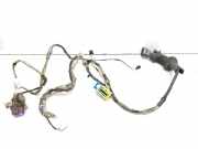 Kabel Tür vorne rechts CITROËN C5 II (RC_) 2.2 HDi (RC4HXE) 9650503180