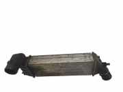 Ladeluftkühler FIAT ULYSSE (179_) 2.2 JTD