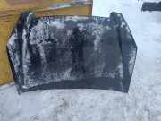 Motorhaube HONDA CR-V III (RE_) 2.0 i 4WD (RE5)