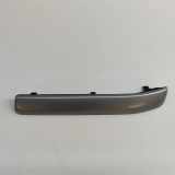 Armaturenbrett Verkleidung