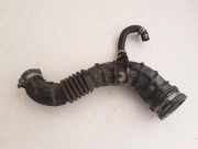 Ölschlauch Renault Clio III (BR0/1, CR0/1) 8200500383