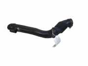 Luftdüsengehäuse Land Rover Freelander 2 (L359) BH529C620AB