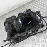 Ansaugbrücke RENAULT THALIA I (LB0/1/2_) 1.4