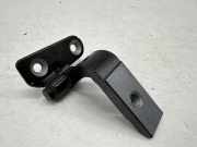 Türscharnier hinten rechts BMW X7 (G07) xDrive 30 d