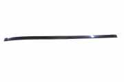 Zierleiste Windschutzscheibe Frontscheibe MERCEDES-BENZ C (W203) C 350 (203.056) A2036989098