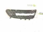 Gitter vorne unten MERCEDES-BENZ E (W212) E 220 BlueTEC 4-matic (212.011) A2128851823 2128851823