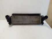 Ladeluftkühler NISSAN NAVARA (D22_) 3.0 TD 4x4 EH940003