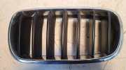 Vorderer oberer Gitter BMW X5 (F15, F85) xDrive 40 d 7316053