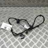 Kabelbaum LAND ROVER DISCOVERY V (L462) 3.0 D 4x4 FPLA-14386-BD