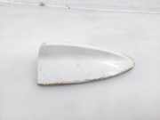 Zierleiste BMW X5 (E70) 018639