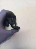 Nockenwellensensor VOLVO C30 D5 21123875