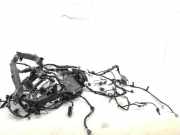 Kabelbaum Toyota C-HR (X1)