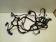 Kabelbaum FIAT DUCATO Furgon (244_) 2.3 JTD 01388552080