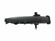 Türaußengriff hinten links CADILLAC SRX 4.6 AWD D800139