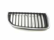 Vorderer oberer Gitter BMW 3 Touring (E91) 318 d