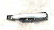 Türaußengriff links RENAULT LAGUNA III Grandtour (KT0/1) 2.0 dCi (KT01, KT09, KT12, KT1S) TED69