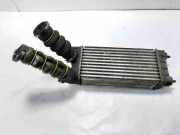 Ladeluftkühler Citroen C4 II (B7) 98733T01