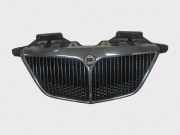 Gitter vorne unten LANCIA PHEDRA (179_) 2.2 JTD (179AXC1A) 1489549693