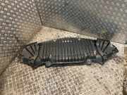 Bodenschutz der Frontstoßstange MERCEDES-BENZ SLK (R172) 250 CDI / d (172.403) A1725200623 1725200623