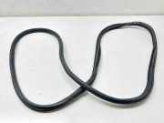 Türgummi links vorne VW Caddy III Kasten (2KA) 2K0837911H