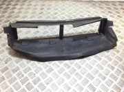 Kühlerluftumlenker FORD FOCUS IV (HN) 1.0 EcoBoost BM518312AC