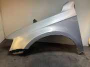 Kotflügel vorne links VW PASSAT B7 ALLTRACK (365) 2.0 TDI