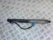 Heckklappe Gasdruckfeder links BMW 7 (G11, G12) 730 d 7357110 51247357110