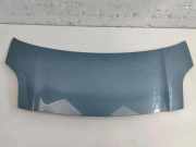 Motorhaube TOYOTA YARIS (_P9_) 1.4 D-4D (NLP90_)