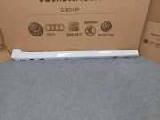 Linker Schweller BMW 5 Touring (G31) 530 d 51777387338