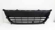 Gitter vorne unten HYUNDAI i20 (PB, PBT) 1.2