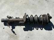 Stoßdämpfer hinten links LAND ROVER RANGE ROVER EVOQUE (L538) 2.2 D 4x4 206111104