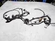 Kabelbaum NISSAN X-TRAIL (T31) 2.0 dCi 24125JG42A