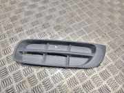 Kühlergrill unten Skoda Roomster (5J) 5J0807367