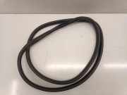 Türgummi links vorne Mini Mini Countryman (F60)