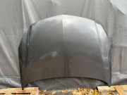 Motorhaube OPEL INSIGNIA A Estate (G09) 2.0 CDTI (35)