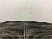 Dachreling links BMW X1 (F48) 741046505