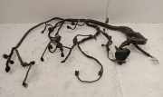 Motor Kabelbaum MAZDA CX-3 (DK) 2.0 D09W67P21