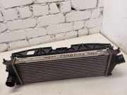 Ladeluftkühler NISSAN PRIMASTAR Furgon (X83) 2.5 dCi 115 93854162