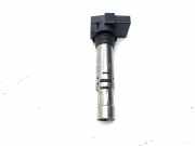 Zündspule VW Scirocco III (13) 0015310823