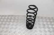 Federblatt links hinten VW Passat B7 (362)