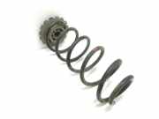 Federblatt links hinten Mercedes-Benz A-Klasse (W169)