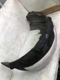 Radhaus rechts hinten Mercedes-Benz B-Klasse Sports Tourer (W246, W242) 3006797000