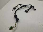 Türverkabelung hinten links CITROËN DS5 2.0 BlueHDi 180